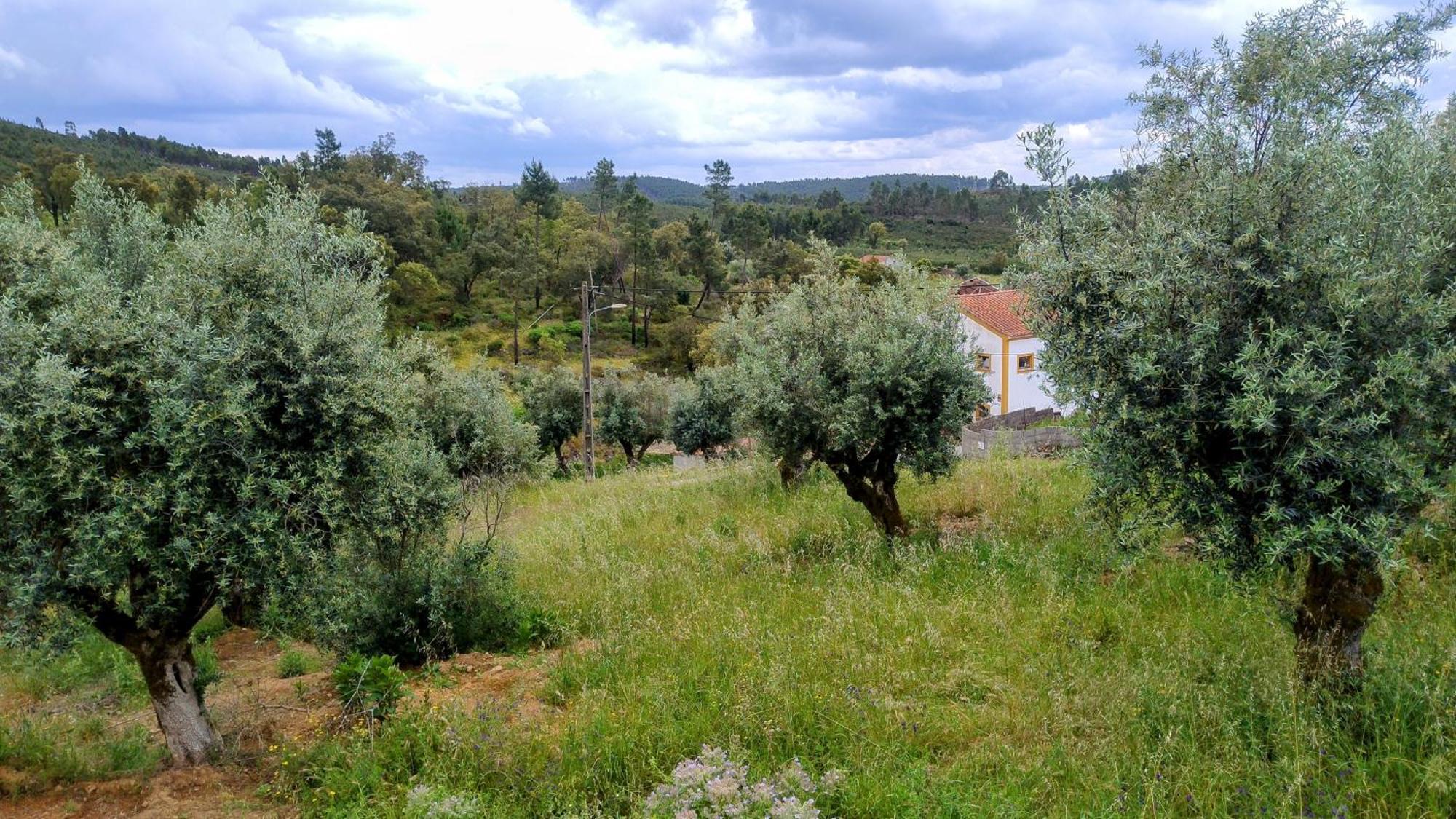 Alegria Rustica 2 Rustic Happiness Bed & Breakfast Envendos Екстериор снимка